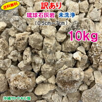 楽天市場】訳あり 在庫処分（石材｜木材・建築資材・設備）：花 