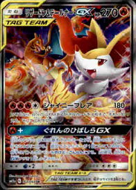 楽天市場 リザードン テールナーの通販