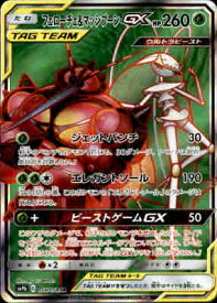 楽天市場 フェローチェ マッシブーンの通販