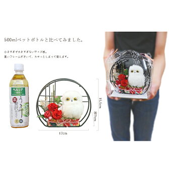 プリザーブドフラワー敬老の日花早割ギフトプレゼント花和風還暦祝い古希喜寿傘寿米寿白寿百寿お祝い送料無料誕生日即日発送送別退職祝い長寿祝開店祝いお見舞い快気祝両親花ふくろうフクロウ梟ぬいぐるみ小部屋FA