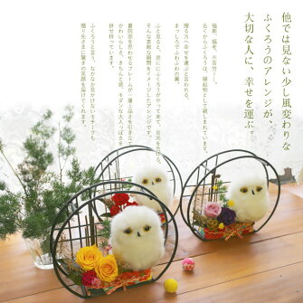 ふくろうの小部屋プリザーブドフラワープリザ送料無料ふくろうNP