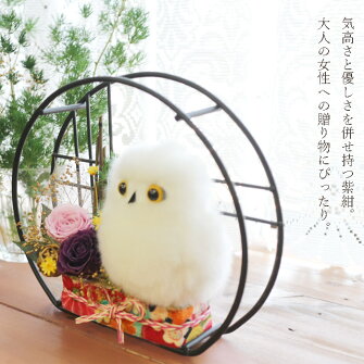 ふくろうの小部屋プリザーブドフラワープリザ送料無料ふくろうNP
