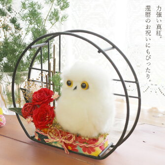 ふくろうの小部屋プリザーブドフラワープリザ送料無料ふくろうNP