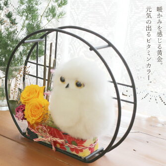 ふくろうの小部屋プリザーブドフラワープリザ送料無料ふくろうNP
