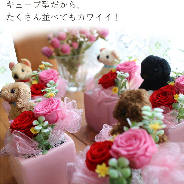 プリザーブドフラワー お祝い 誕生日 卒業祝い 花 退職祝い 入学祝い 送別