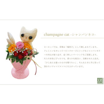 https://image.rakuten.co.jp/s-arrange/cabinet/keiro16/05188246/imgrc0077509207.jpg