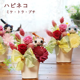 楽天市場 誕生日プレゼント 猫好きの通販 楽天市場 誕生日プレゼント 猫好きの通販