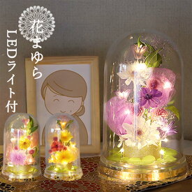 【ポイント3倍】 翌日配達 プリザーブドフラワー 仏花 一対 ドーム 仏壇 仏壇用 大きい お彼岸 お供え LED お供え用 お供え ケース入り 大きめ ブリザード 仏花プリザーブドフラワー お悔やみ 御供 1対 線香 四十九日 1周忌 3回忌 7回忌 菊 まゆら光