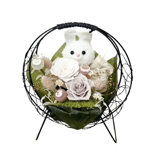 zB 킢 v[h   vU[uht[  v[g a Mtg  @uU[ht- j o a ʉ ސEj N ̂j җ Ê 