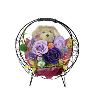 zB 킢 v[h   vU[uht[  v[g a Mtg  @uU[ht- j o a ʉ ސEj N ̂j җ Ê 