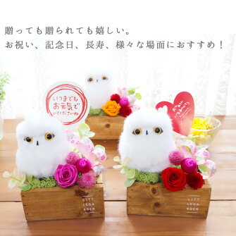 楽天市場 母の日 プリザーブドフラワー プレゼント ギフト 母の日ギフト 母 の 日 花 ふくろう 花 ぬいぐるみ 誕生日プレゼント 退職祝い 女性 和風 還暦祝い 古希 喜寿 傘寿 米寿 誕生日 母親 開店祝い ブリザードフラワー ブリザード プリザ ブリザードフラワ 福来郎