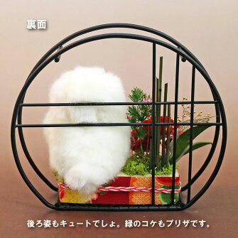 ふくろうの小部屋プリザーブドフラワープリザ送料無料ふくろうNP