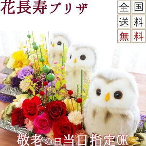 ふくろう プリザーブドフラワー 花の人気商品 通販 価格比較 価格 Com