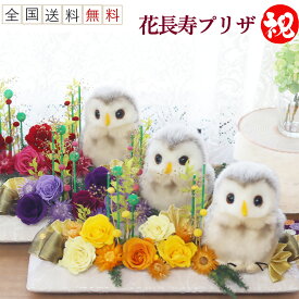 【エントリーでP10倍】 ふくろう 豪華 プリザーブドフラワー 誕生日 ギフト 花 ブリザードフラワ- ブリザードフラワー かわいい お祝い プレゼント 古希祝い 喜寿祝い 米寿祝い 送別 送別会 退職祝い 定年 長寿のお祝い 米寿 古希 紫 喜寿 傘寿 白寿 百寿 祖父 祖母 花長寿