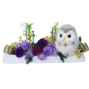 y|Cg2{zzB ӂ낤  vU[uht[  v[g a Mtg uU[ht- 킢 j Êj j Ďj ސEj N ̂j 