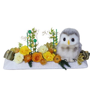 zB ӂ낤  vU[uht[  v[g a Mtg uU[ht- 킢 j Êj j Ďj ސEj N ̂j Ď Ê   