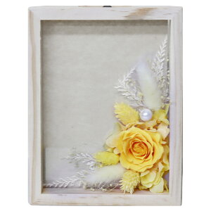 y|Cg3{zzB vU[uht[ tHgt[  v[g  @a Mtg uU[ht- j ʐ^ 킢 vU o a  Cj 