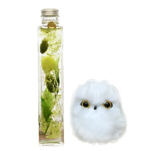 y|Cg5{z zB n[oE NX}X v[g Mtg ɂ a 킢 vU[uht[ o e c   ʉ ސEj N ̂j