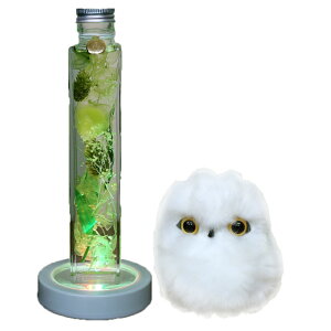 y|Cg3{zzB n[oE v[g Mtg d ɂ a 킢 vU[uht[ ӂ낤  ʂ  ʉ ސEj N ̂j Ê 