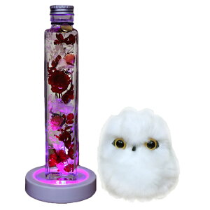 �����z�B �n�[�o���E�� �N���X�}�X �v���[���g �M�t�g ���d �ɂ� �a���� ���킢�� �v���U�[�u�h�t�����[ �ӂ��낤 �������� �ʂ������ ���� ���ʉ� �ސE�j�� ��N �����̂��j�� �Ê� ��� 