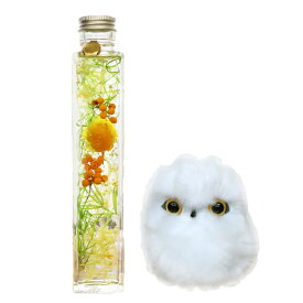 翌日配達 ハーバリウム プレゼント ギフト お供えにも 誕生日 かわいい プリザーブドフラワー バラ 母親 祖母 送料無料 送別 送別会 退職祝い 定年 長寿のお祝い 女性 男性 結婚記念日 開店祝い 還暦祝い お祝い ふくろうPH