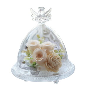 zB vU[uht[  v[g a Mtg uU[ht- 킢 KXh[ j  ʉ ސEj N  ޏ LO  j  