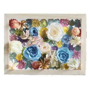 zB ʐ^ 킢 vU[uht[ tHgt[  v[g   a Mtg uU[ht- ʐ^  ʉ ސEj N j o bZ[W 