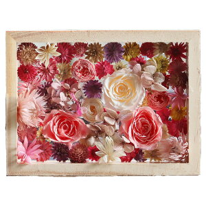 zB ʐ^ 킢 vU[uht[ tHgt[  v[g   a Mtg uU[ht- ʐ^  ʉ ސEj N j o bZ[W 