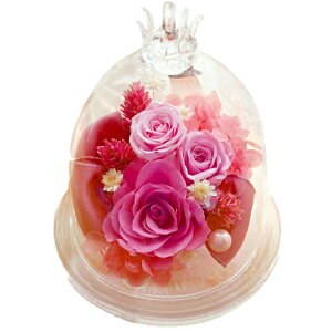 zB vU[uht[ NX}X  v[g a Mtg uU[ht- aj o KXh[ 60 җ җj   ސEj N ̂j e