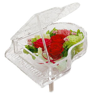 zB sAm vU[uht[ NX}X  v[g a Mtg uU[ht- j o bZ[WJ[h sAm\ \ t ʐ^   ʉ 