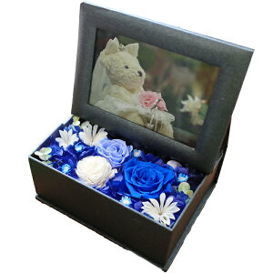 y|Cg5{z zB vU[uht[ NX}X tHgt[  v[g   a Mtg uU[ht- ʐ^ j ʐ^ ʐ^ bZ[W  