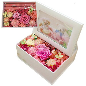 zB ʐ^ vU[uht[ NX}X tHgt[  v[g a Mtg uU[ht- j ʐ^  Os[ tHg{bNX ʐ^ d j