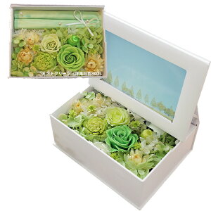 zB ʐ^ vU[uht[ NX}X tHgt[  v[g a Mtg uU[ht- j ʐ^  Os[ tHg{bNX ʐ^ d j