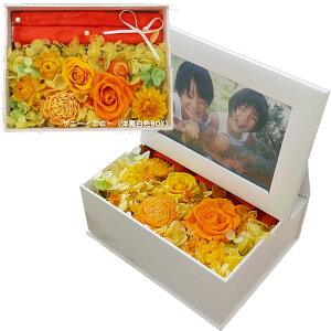 y|Cg3{zzB ʐ^ vU[uht[ tHgt[  v[g a Mtg uU[ht- j ʐ^  Os[ tHg{bNX ʐ^ d