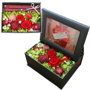 y|Cg3{zzB ʐ^ vU[uht[ NX}X tHgt[  v[g a Mtg uU[ht- j ʐ^  Os[ tHg{bNX 