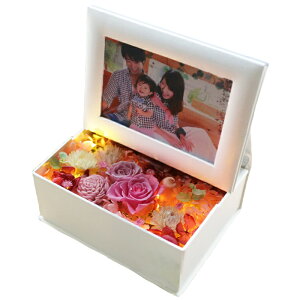 y|Cg3{zzB ʐ^ vU[uht[ tHgt[  v[g a Mtg  @uU[ht- ʐ^ j  ʉ ސE  җj ʐ^