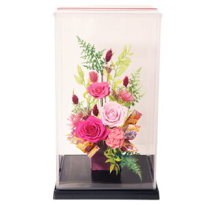 y|Cg3{zzB vU[uht[  v[g a Mtg uU[ht- j o P[X c c  ʉ ސEj N ̂j a җj 