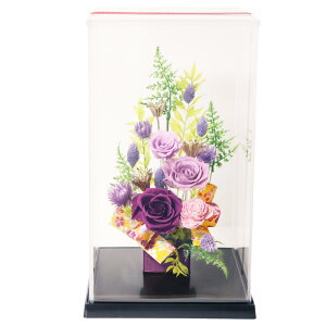 zB vU[uht[ NX}X  v[g a Mtg uU[ht- j o P[X c c  ʉ ސEj N ̂j a җj Ê 