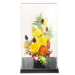 y|Cg3{zzB vU[uht[  v[g a Mtg uU[ht- j o P[X c c  ʉ ސEj N ̂j a җj 