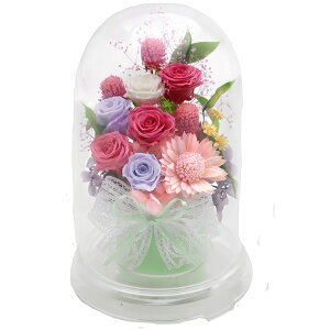 zB vU[uht[  r͂͂  h[ dp 傫 ފ ~  p   P[X 傫  uU[ht-  