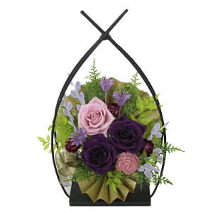 zB vU[uht[ NX}X  v[g a Mtg uU[ht-   ʉ ސEj N ̂j a җ җj Ê  P Ď  S