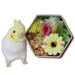 y|Cg3{zzB vU[uht[  v[g a Mtg uU[ht- \[vt[ {bNXt[   ސEj ̂j ZLZCCR IJC