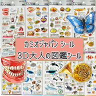 大人の図鑑 3D 大人図鑑 シール 【単品・5点・9点セットが選べる】 カミオジャパン KAMIO JAPAN 歯編 楽…