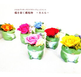 楽天市場 カエル 花の通販