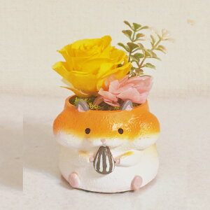 vU[uht[ AW nX^[ bg lY~ qN  Mtg ~jTCY AWg ͂Ȃ v[g   av[g LO ybg{ 