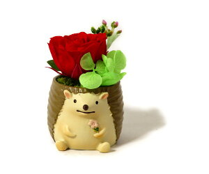 ͂˂ vU[uht[AW ͂Ȃ  o a LO v[g җ Ď  j   ybg { wbWzbO nF n ybg䋟 