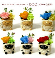 楽天市場 ひつじ プリザーブドフラワー アレンジ枯れない バラ 未年生まれの方にも 誕生日 プレゼント 花 アレンジ 結婚記念日 お祝い敬老の日 還暦祝い 米寿 喜寿 男性 女性 友達未年 開運 風水 お供え ペット供養 花アトリエ サムシングブルー