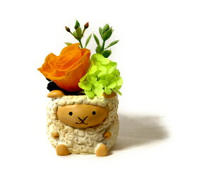 Ђ r vU[uht[ AW ͂Ȃ  o N܂̕ɂI a v[g LO j ЂN J^  