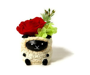 Ђ r vU[uht[ AW ͂Ȃ  o N܂̕ɂI a v[g LO j ЂN J^  