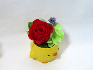 vU[uht[ a v[g Ђ悱 N  ͂Ȃ   Mtg ~jTCY AWg a v[g LO j Əj j   